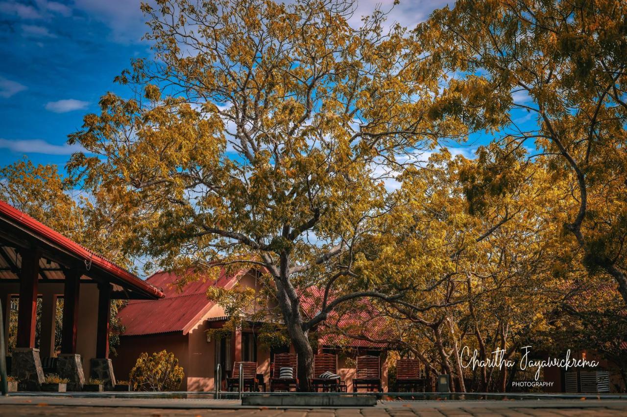 Yala Chalets By Lalan Leisure Kirinda  Buitenkant foto